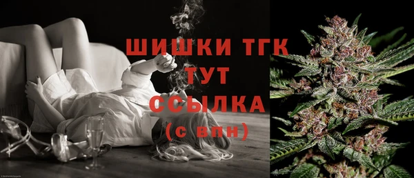 эйфоретик Аркадак