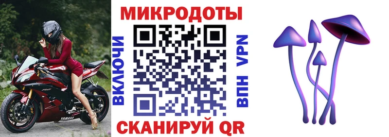 OMG ссылка  Пересвет  Галлюциногенные грибы мицелий 